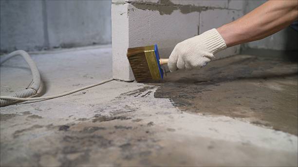 24/7 Emergency Exterior Waterproofing experts in Hermitage, TN